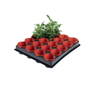 Mini Seed and Cutting Tray (20 x 6cm Pots)