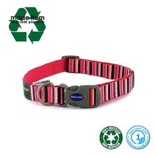 Hot Pink Stripe Adjustable Collar (size 1-2)
