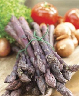 Asparagus Pacific Purple (2 bulbs)
