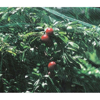 Plant Protection Net (4 x 2m)