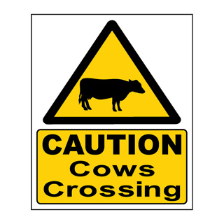 Caution Cows Crossing - Corriboard Sign