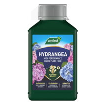 Westland Hydrangea Liquid Plant Food (1L)