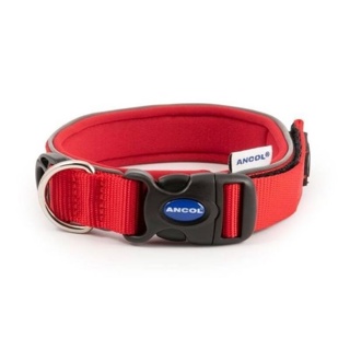 Padded Red Dog Collar (51-61cm)