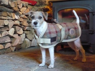 Check Quilted Dog Jacket (25cm)