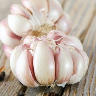 Garlic Carousel Pink (2 bulbs)