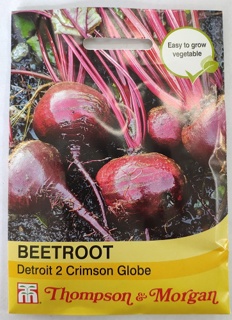 Beetroot Detroit 2 - Crimson Globe