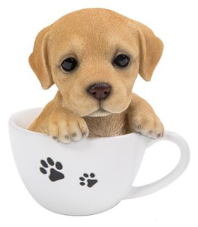 Golden Labrador Puppy In Teacup