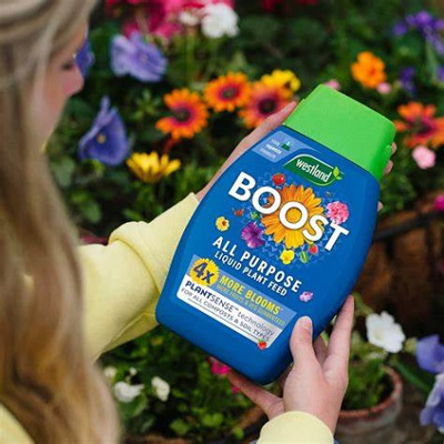Westland Boost All Purpose Plant Feed (1ltr)